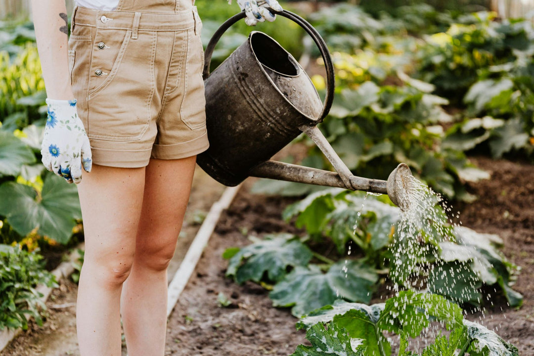 Top Tips to Keep Your Garden Pest-Free and Flourishing: A Gardener's Guide to Success