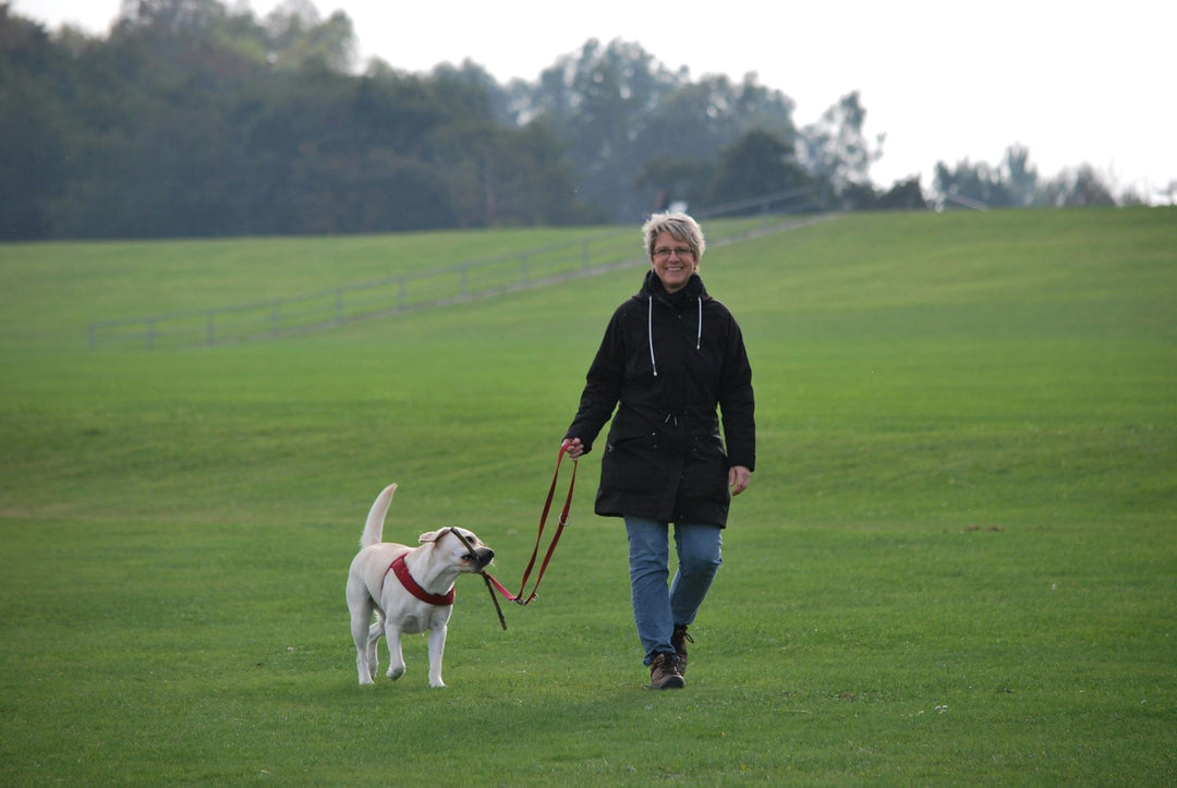 Morning vs. Night Walks: Which is Best for Your Health and Why?