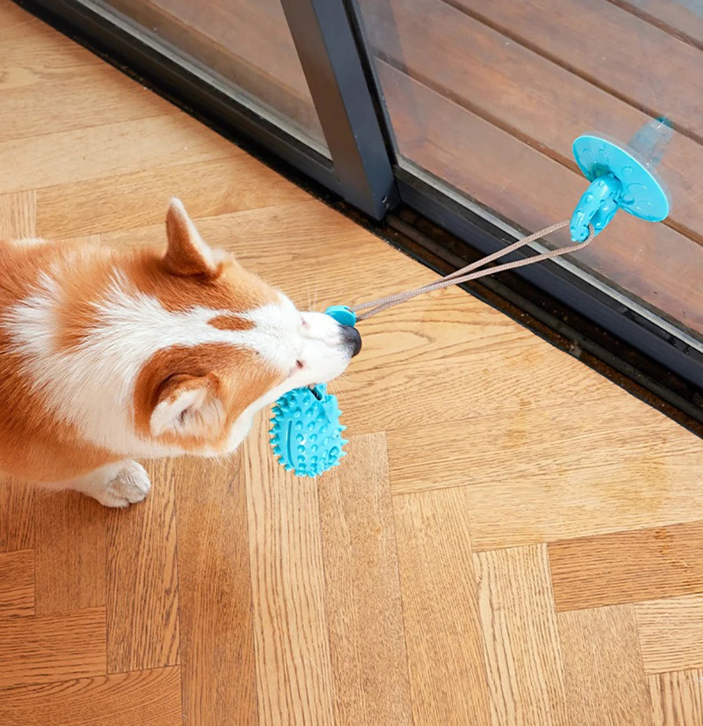 Durable Dog Chew Toy with Suction Cup & Food Dispenser