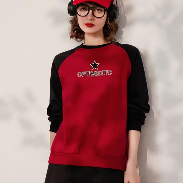 Sweatshirt Round Neck Long Sleeve Embroidered Loose Fit Pullover Top