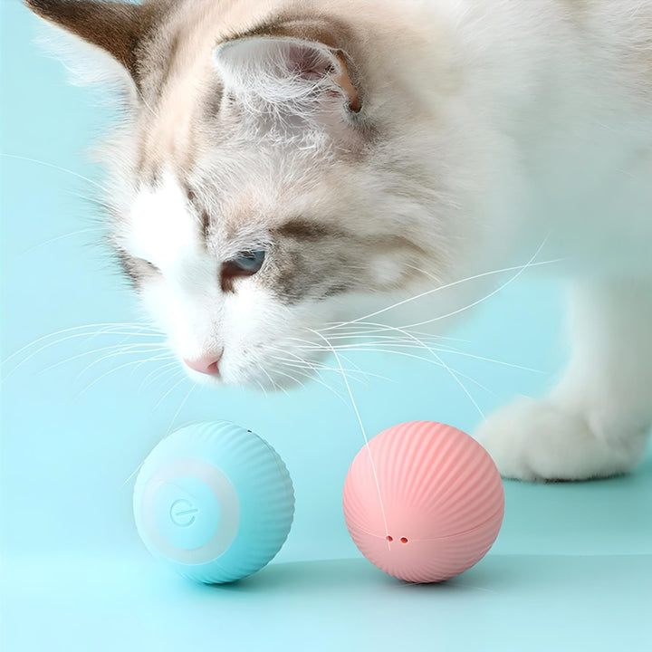 Interactive Electric Cat Ball