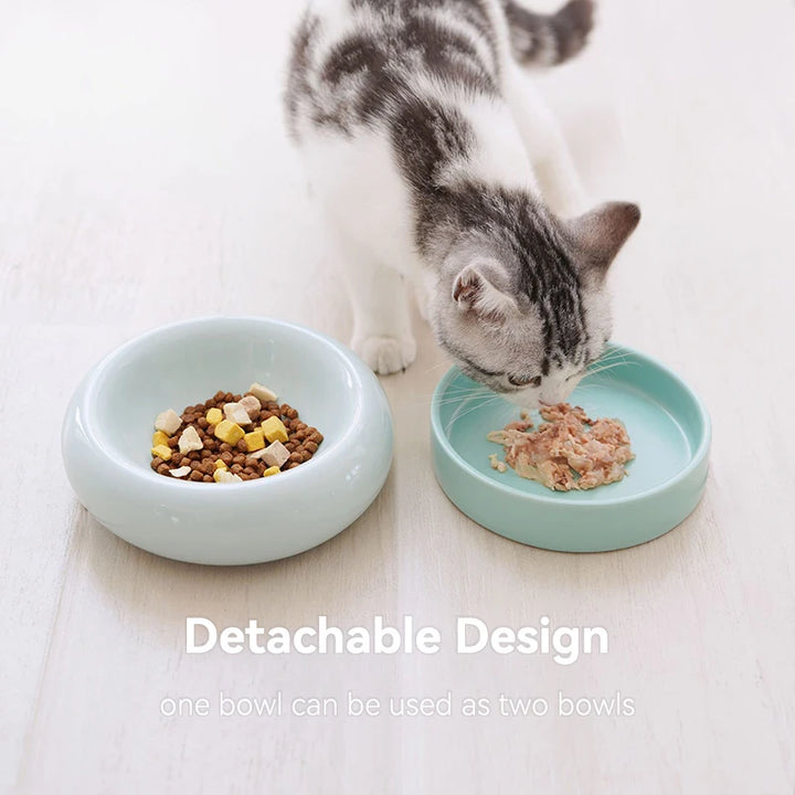 2-in-1 Elevated Feeding Bowls