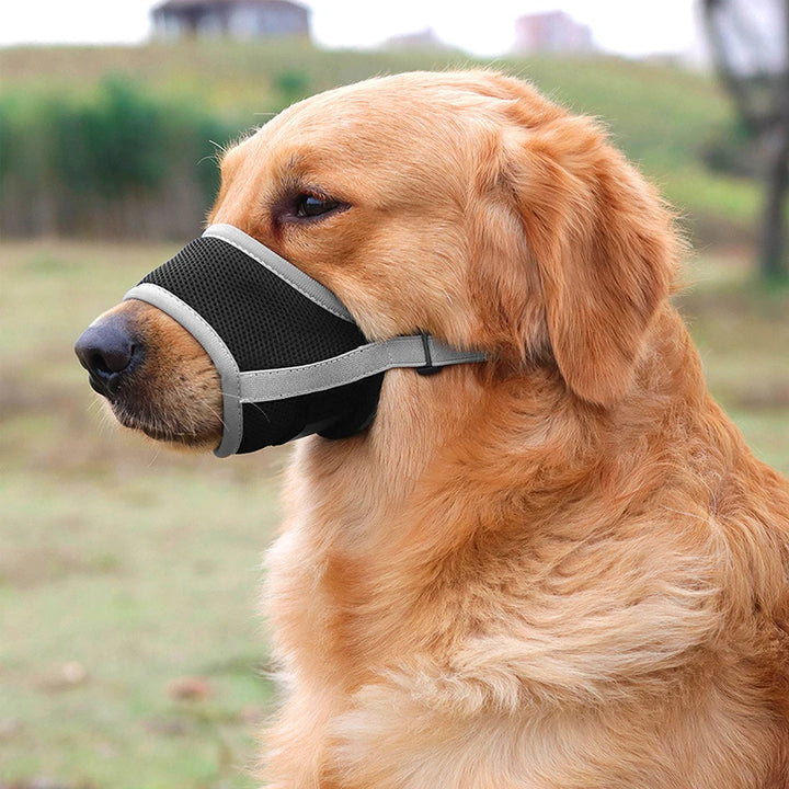 Adjustable Breathable Dog Muzzles for Small and Medium Dogs