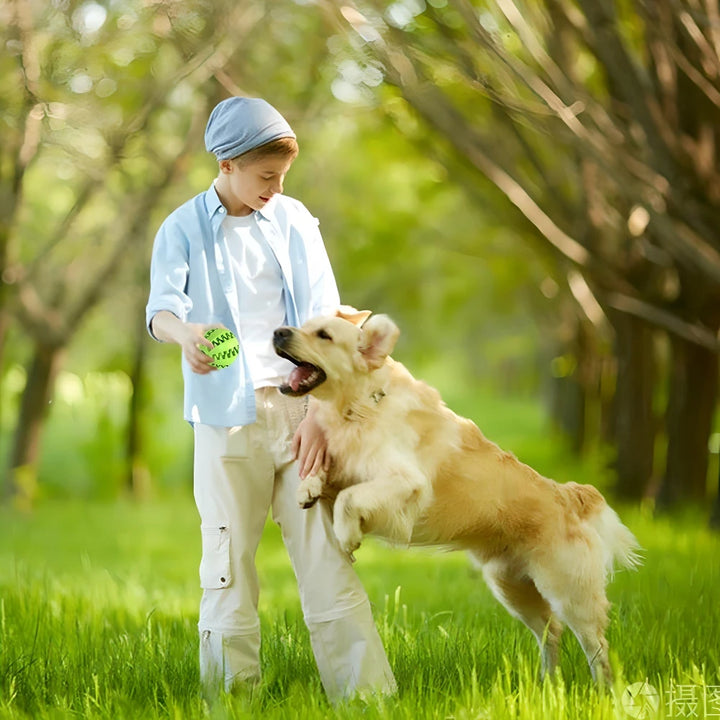 Interactive Dog Treat Ball for Teeth Cleaning and Play