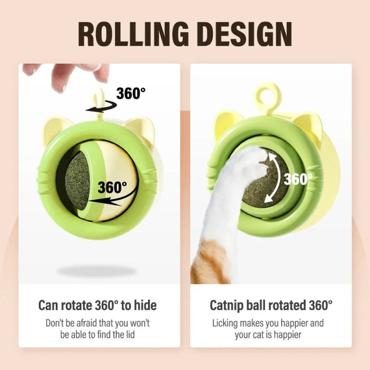 Rotating Catnip Ball Toy for Cats