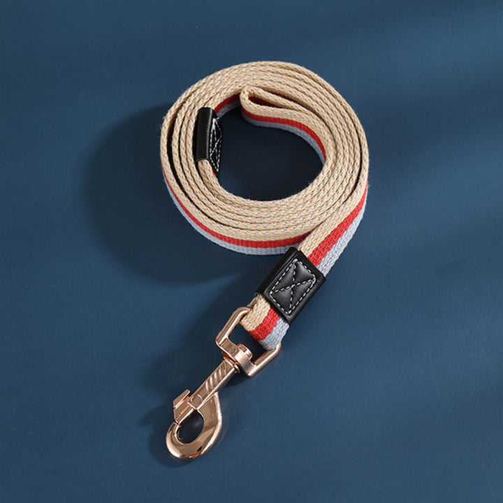 Strong Durable Nylon Dog Leash