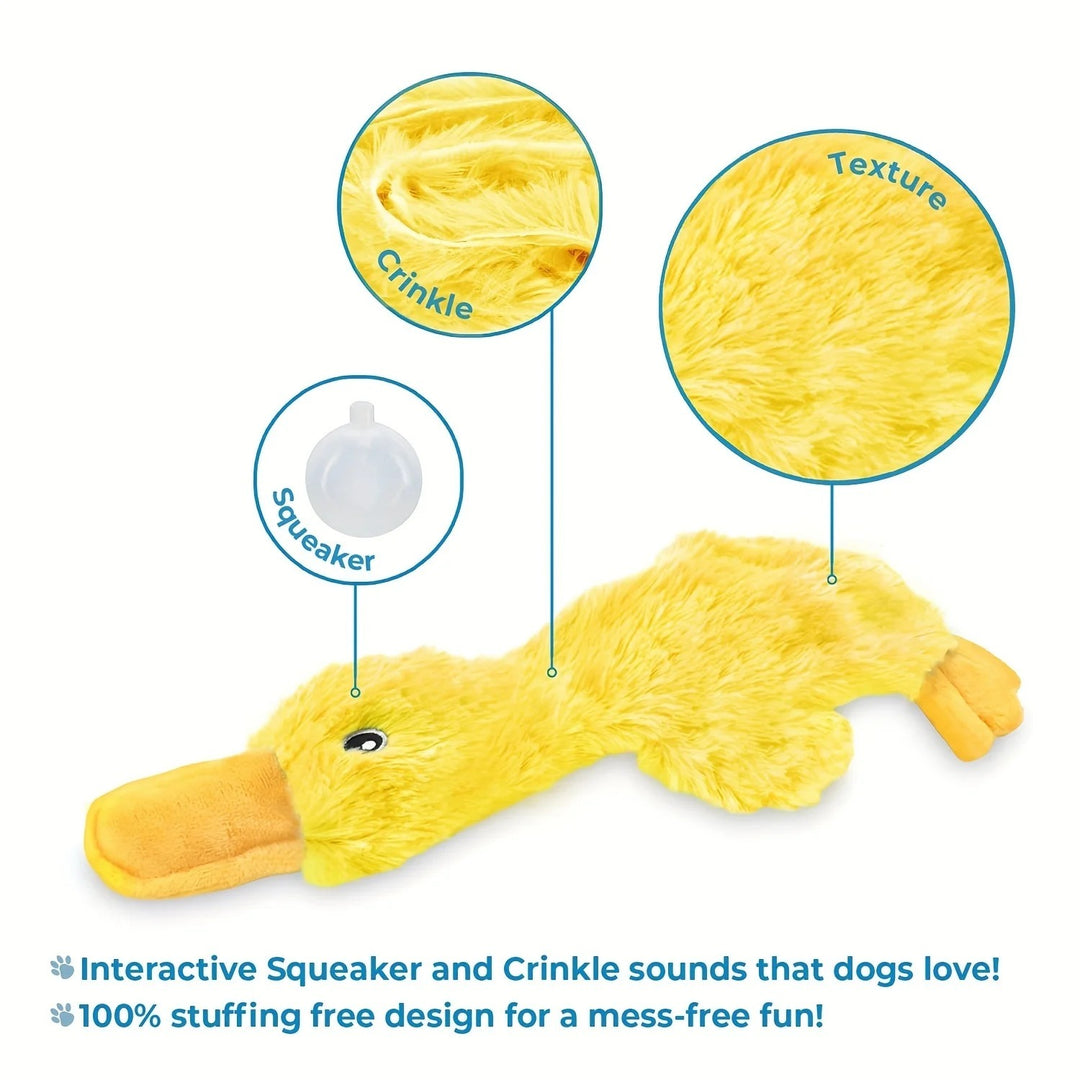 Interactive Small Dog Plush Squeaky Toy