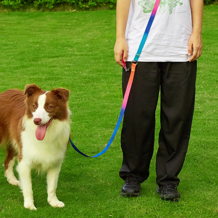 Durable Nylon Dog Leash