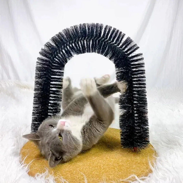 Cat Massage Arch Brush and Play Toy