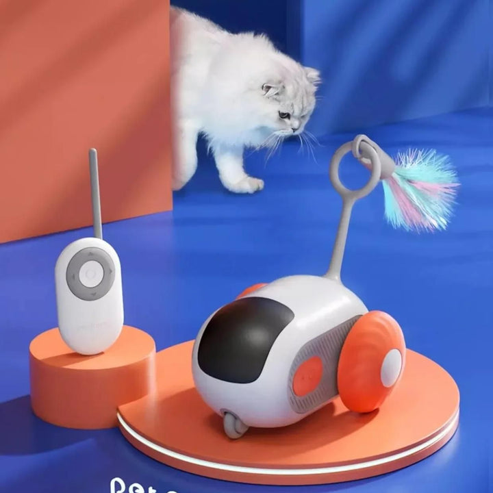 Interactive Gravity Sports Car Remote Control Cat Toy