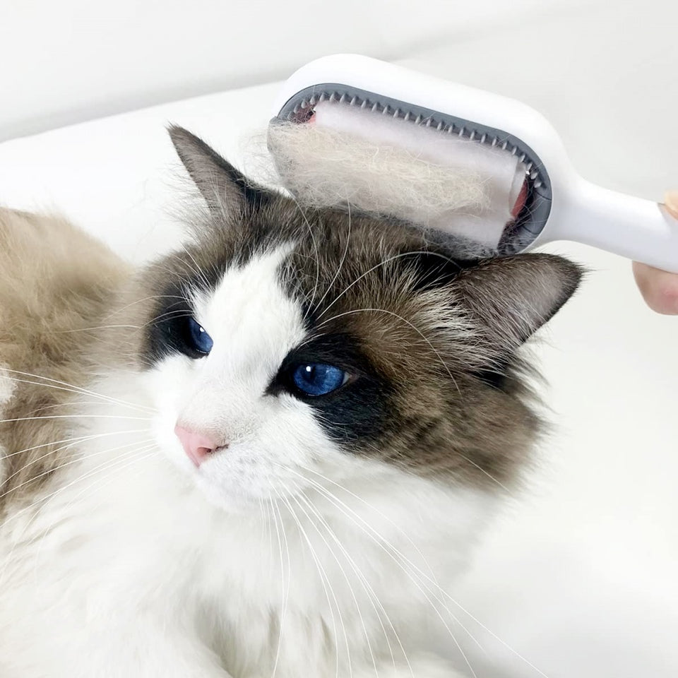 4-in-1 Pet Grooming Brush with Water Tank for Dogs & Cats