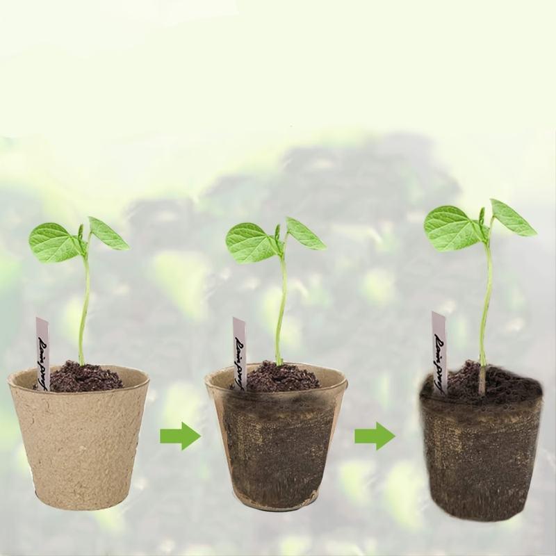 Biodegradable Paper Nursery Pots and Plant Labels Set