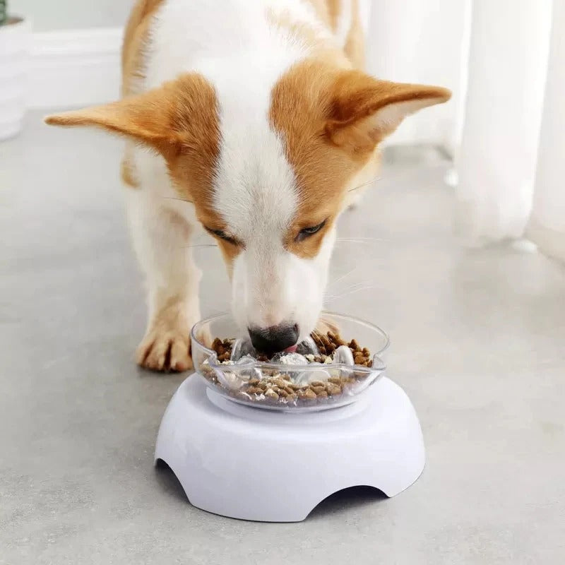 15° Tilt Pet Bowl with Non-Slip Stand