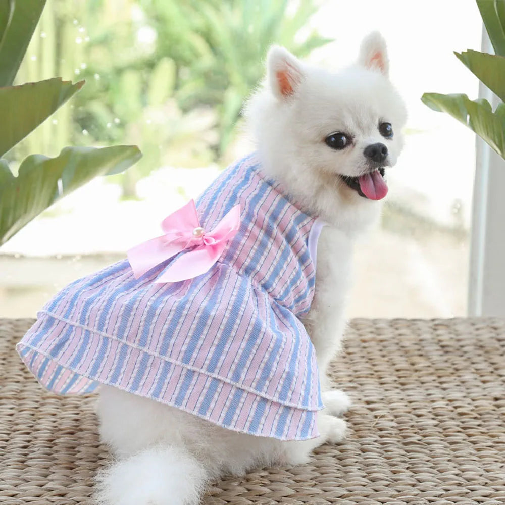 Dog Princess Dress