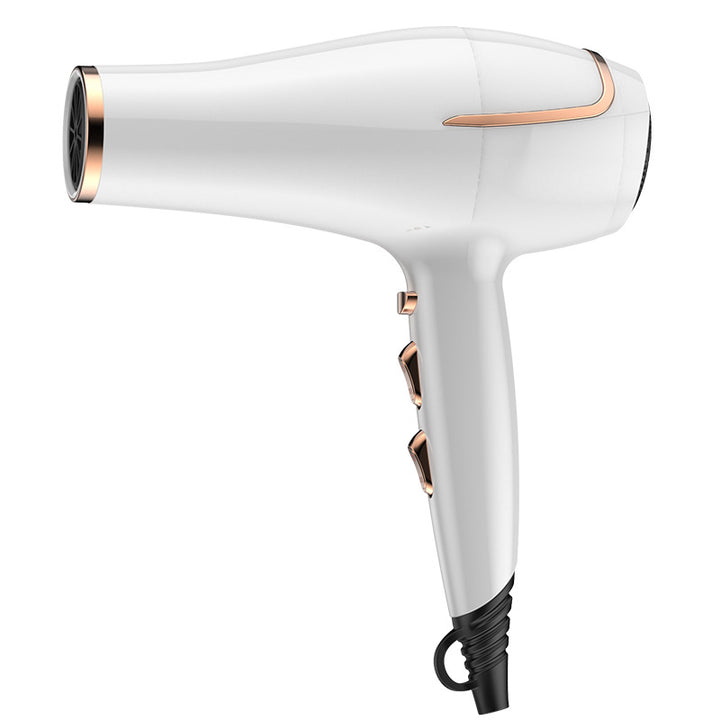 Professional Electric Hair Dryer