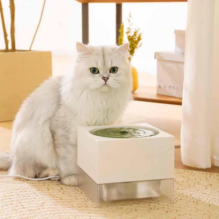 Automatic Cat Water Fountain with Flowing Water Pump & Slow Feeder