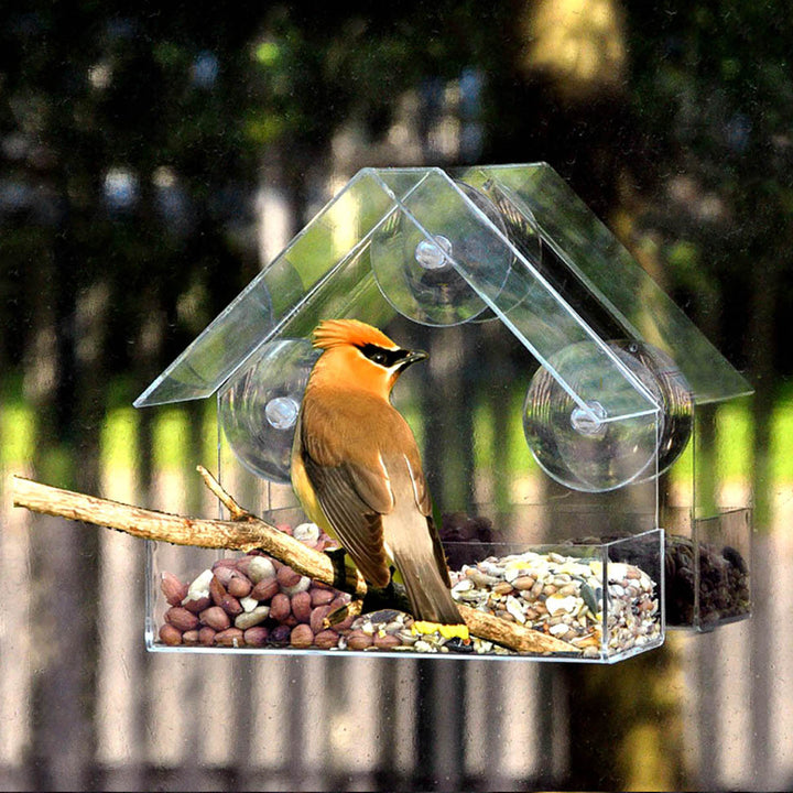 Window Wild Bird Feeder House