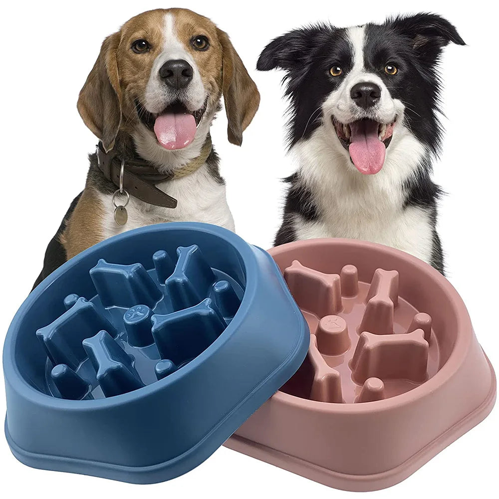 Slow Feeder Dog Bowl for Healthy Eating