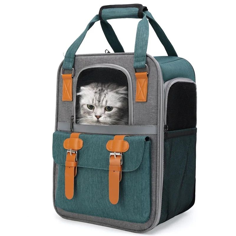 Lightweight 10 KG Pet Leisure Backpack for Small Cats & Dogs
