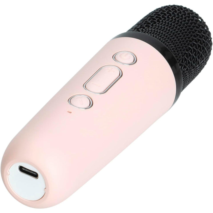 Portable Bluetooth Karaoke Speaker System with Wireless Microphones