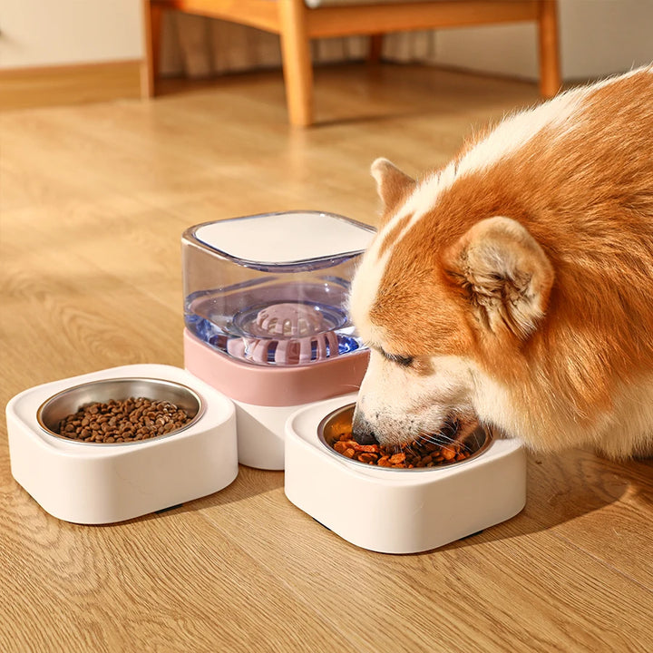 Large Capacity Dog Bowl with Automatic Water Dispenser & Food Separator