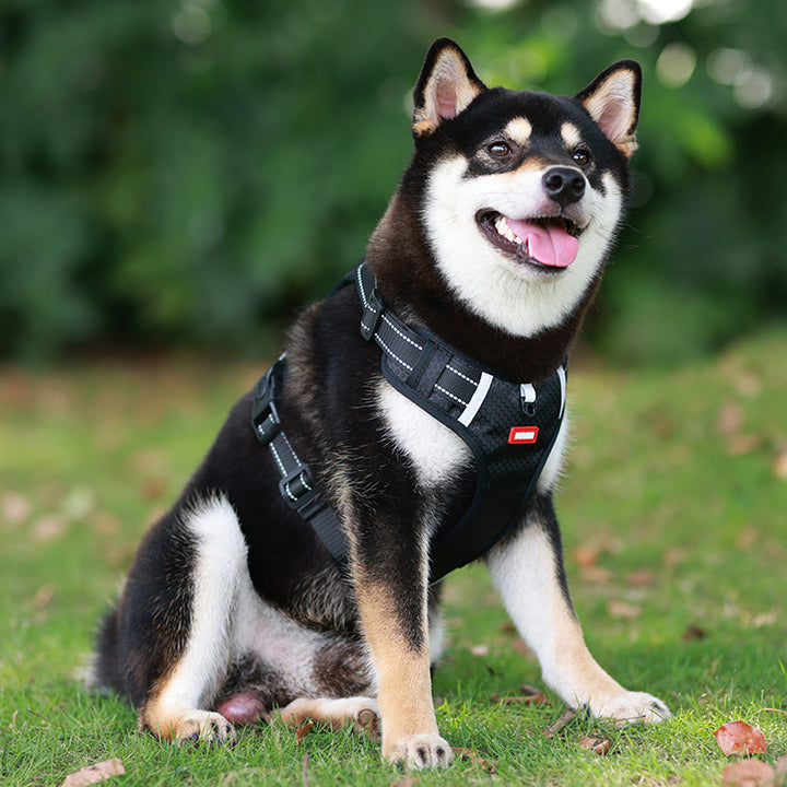 Adjustable Reflective Dog Harness