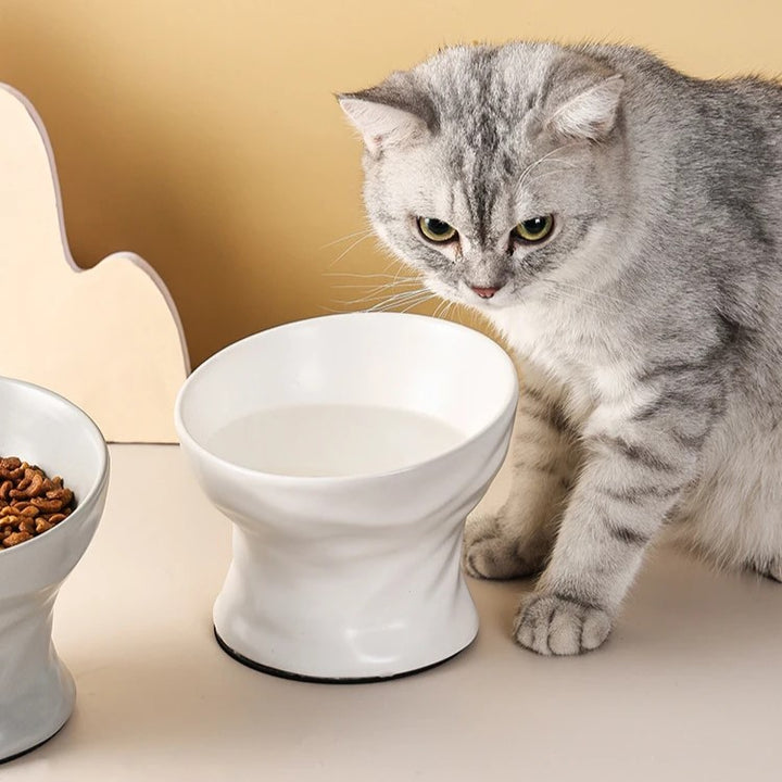 Elevated Ceramic Cat & Small Dog Bowl