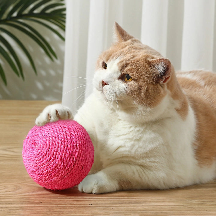 Interactive Sisal Ball Cat Toy with Sound