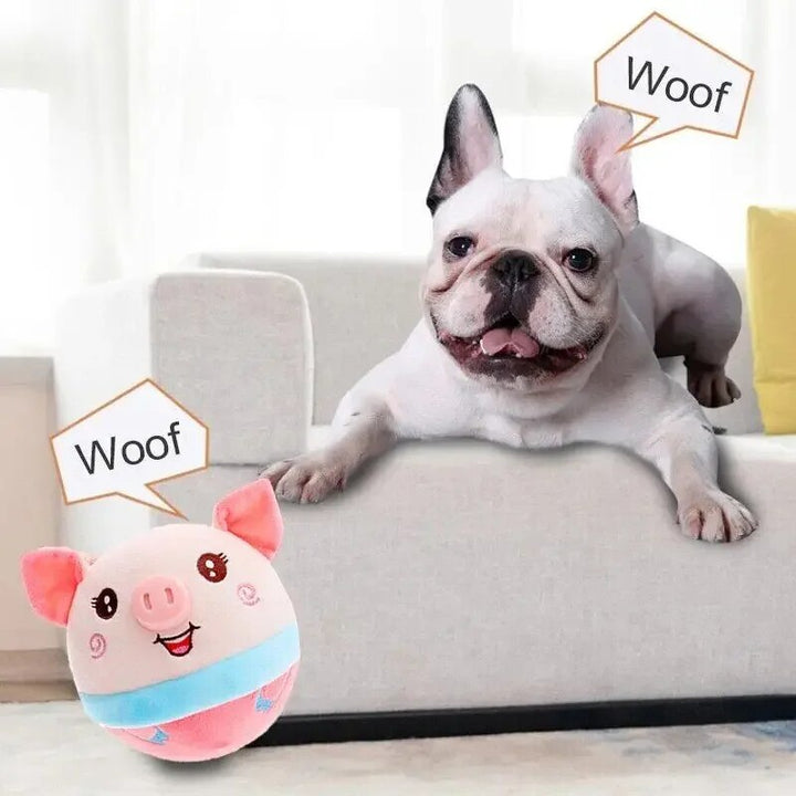 Interactive Talking Dog Toy Ball: Keep Your Pup Entertained!