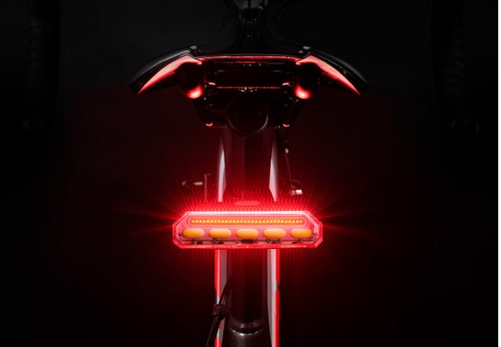 Rock brothers bicycle taillight