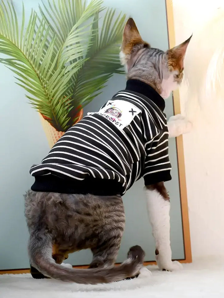 Spring and Autumn Cute Cat & Small Dog Clothing