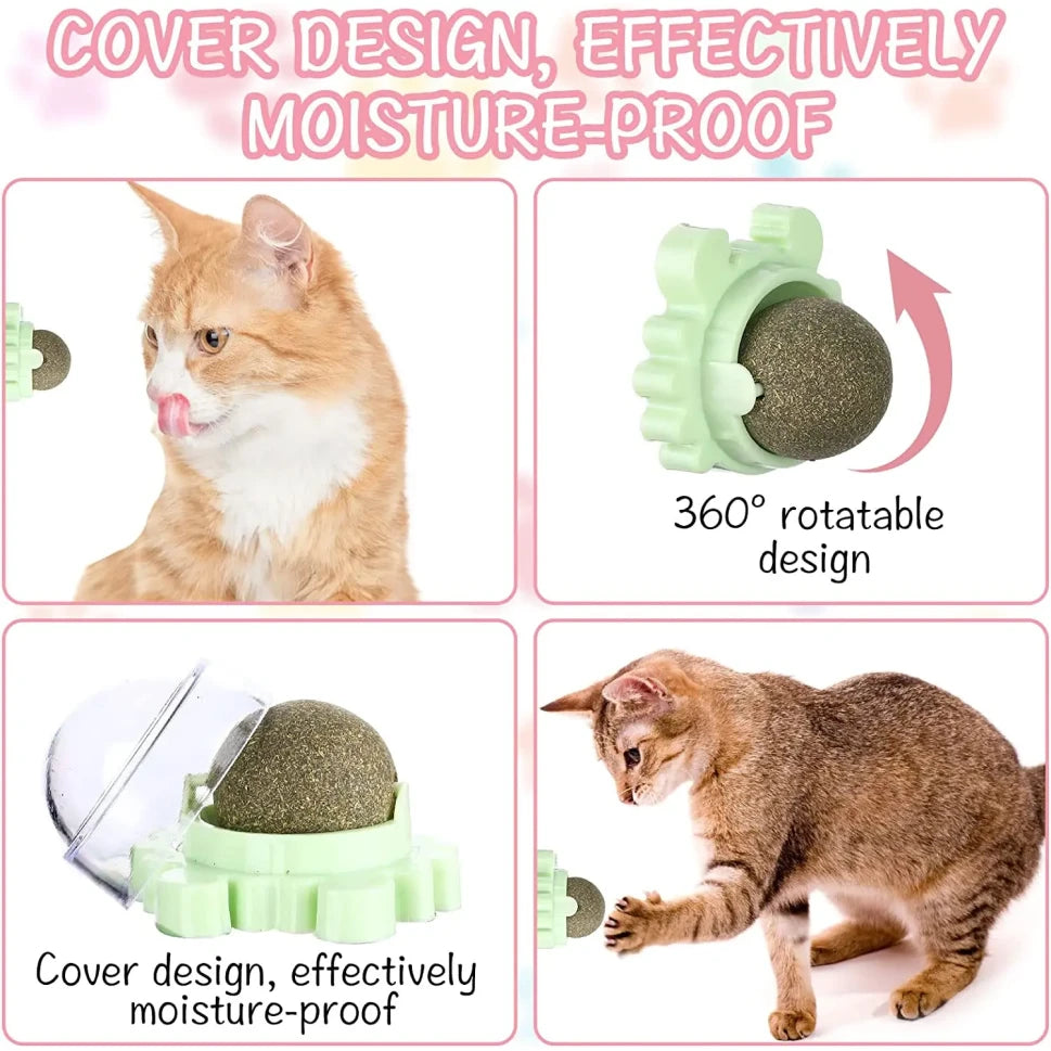 Catnip Wall Ball Toy for Cats