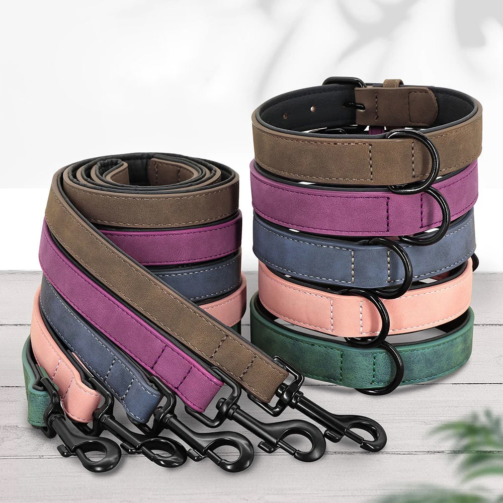 Durable Padded Dog Collar and Leash Set for Large Breeds