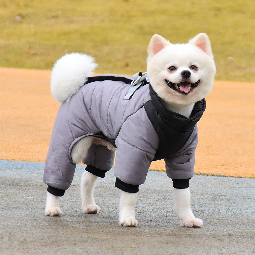 Waterproof Winter Dog Coat with D-Ring