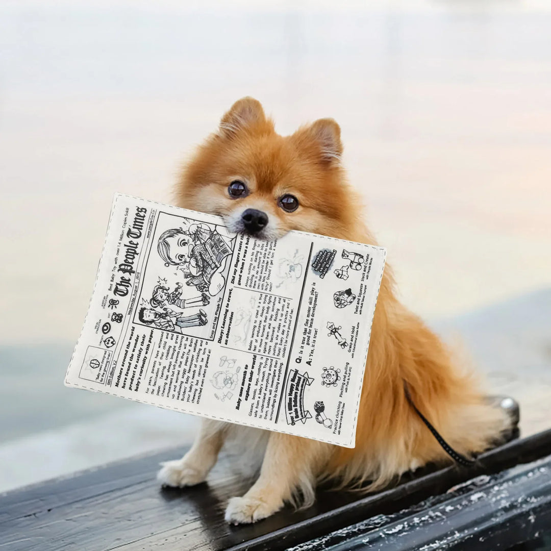 Durable Funny Newspaper Dog Chew Toy