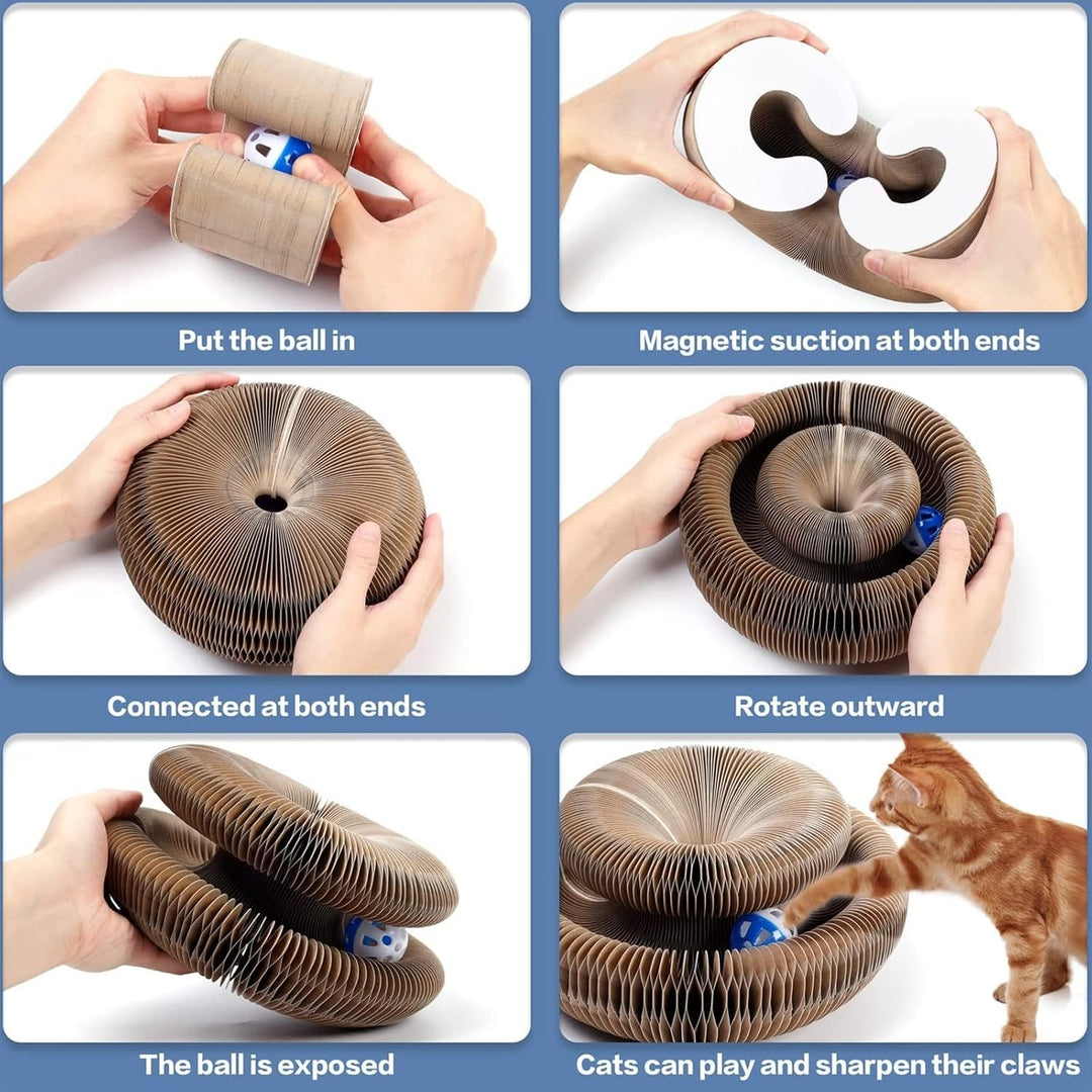 Magic Organ Cat Scratcher Toy