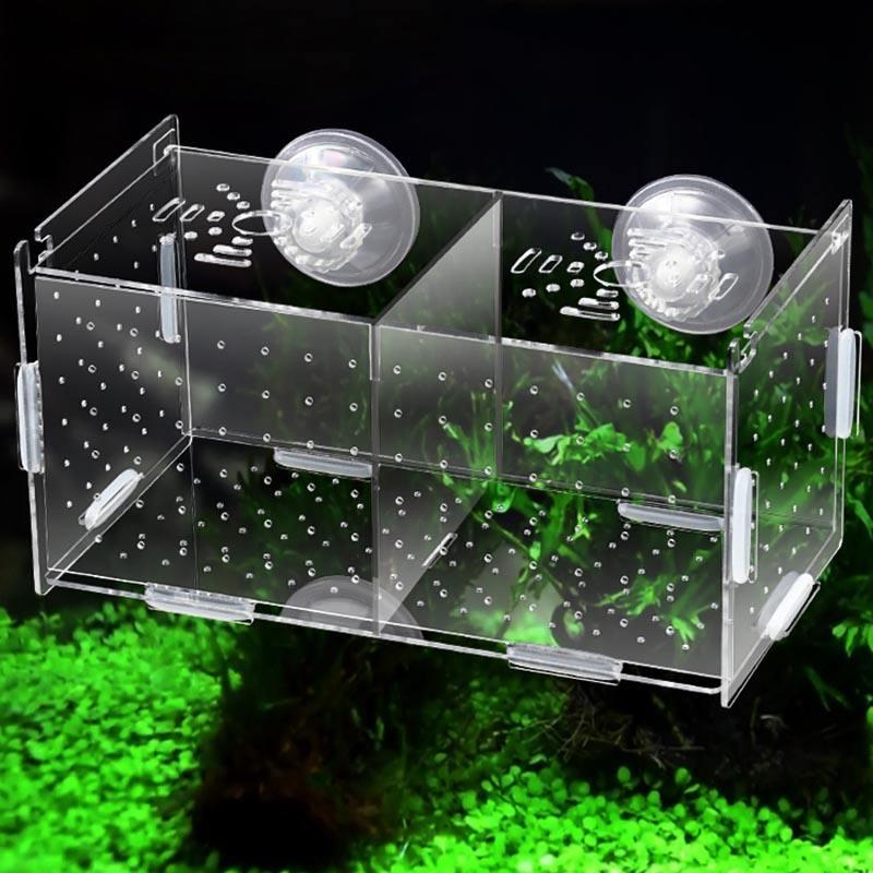 Acrylic Guppy Breeding Box