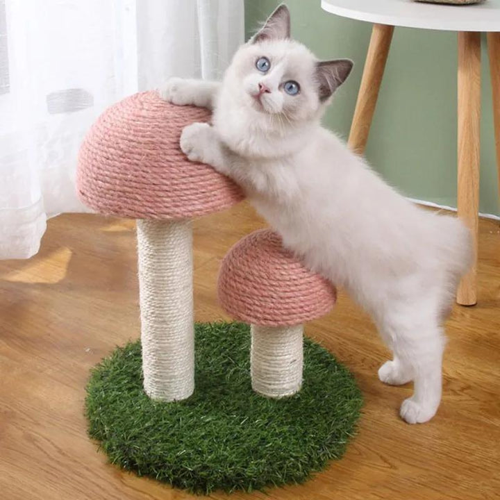 Deluxe Mushroom Cat Climbing Frame & Scratch Post