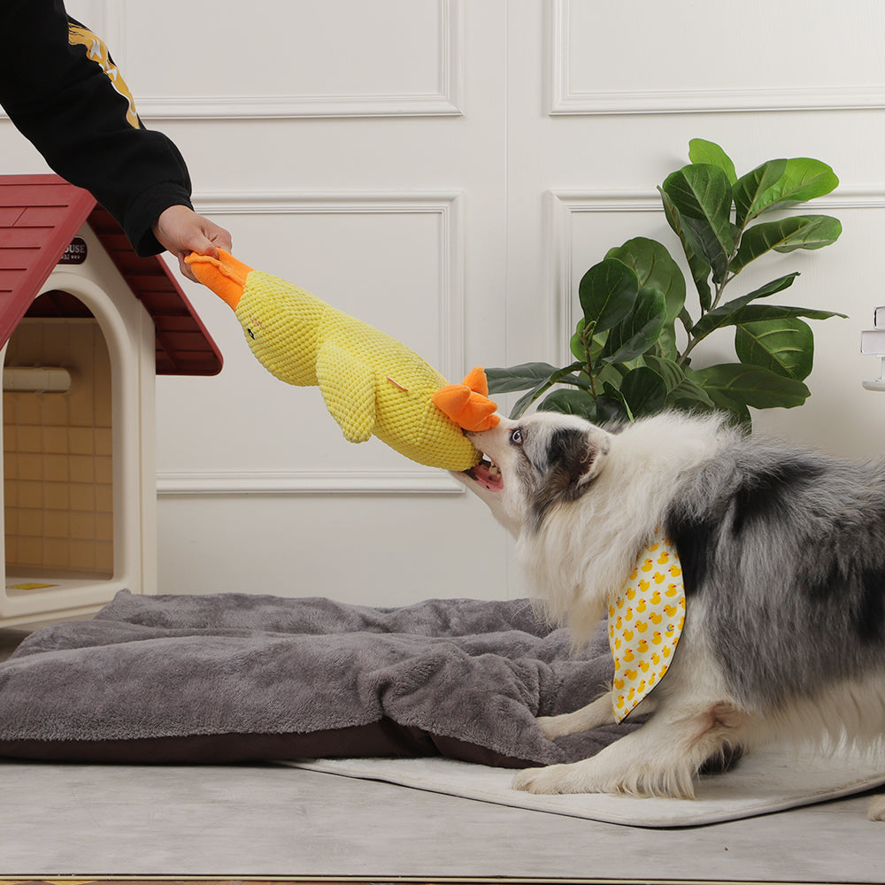 Interactive Duck Dog Toy with Squeaker