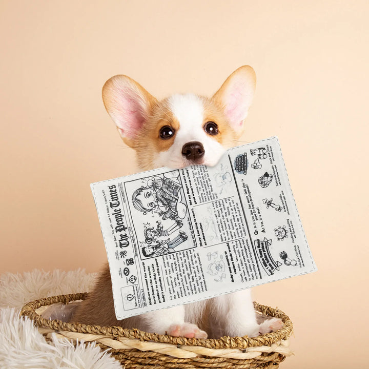 Durable Funny Newspaper Dog Chew Toy