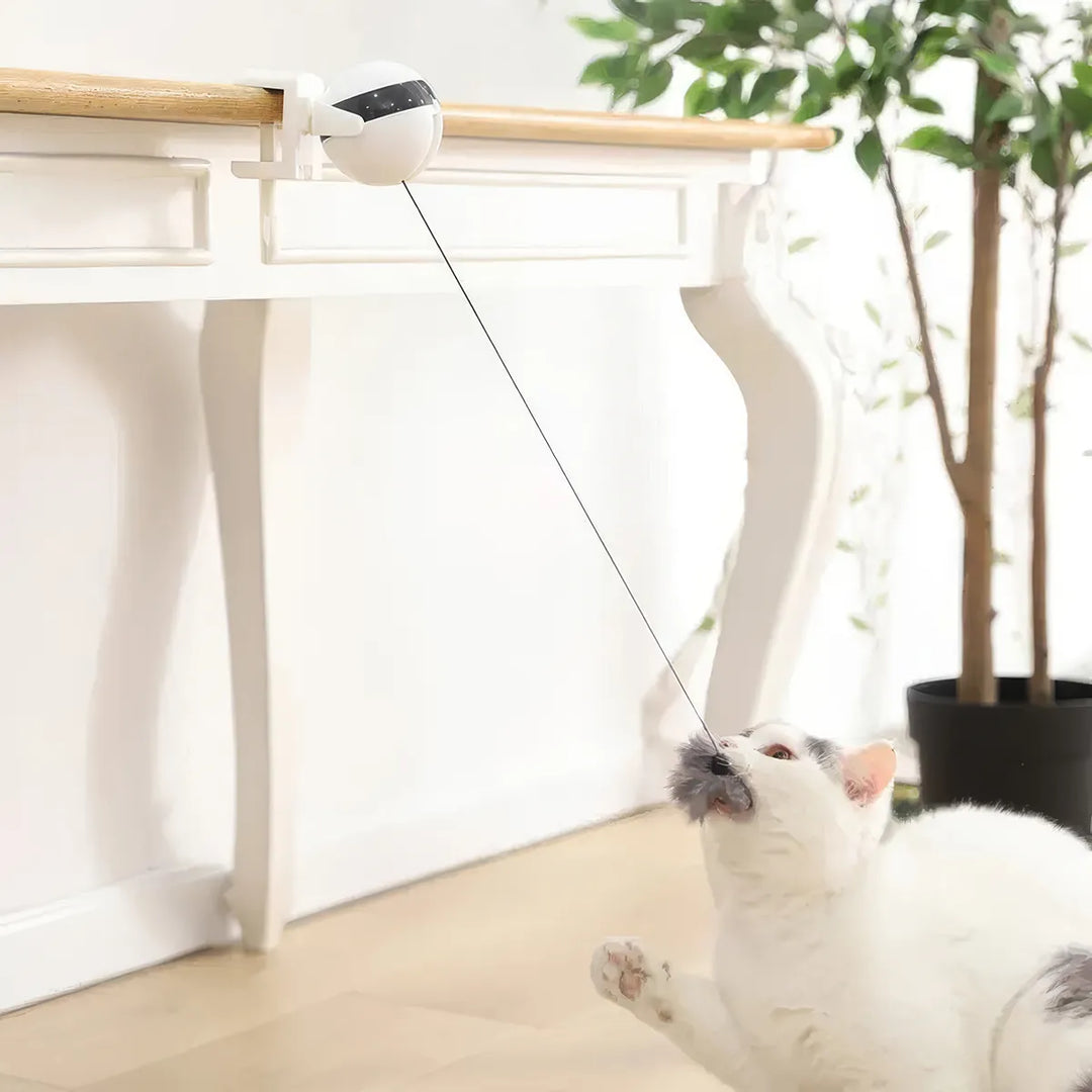 Interactive Electric Cat Ball Toy: Enticing Puzzle Smart Pet Teaser