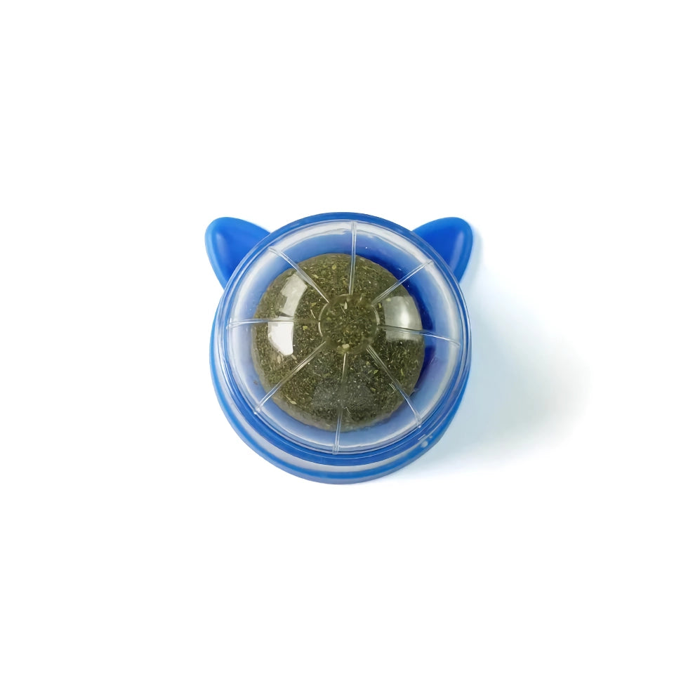 Catnip Wall Ball Toy for Cats