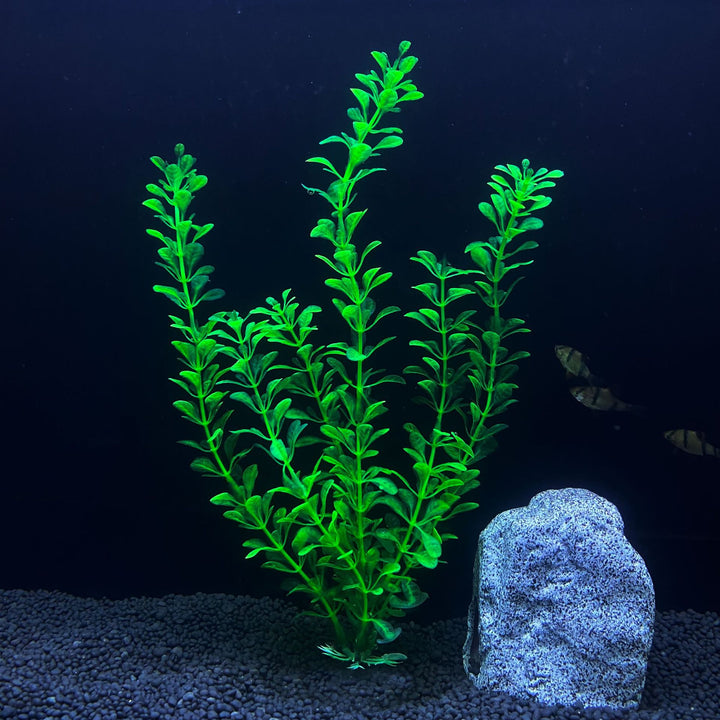 30cm High Artificial Aquarium Plant