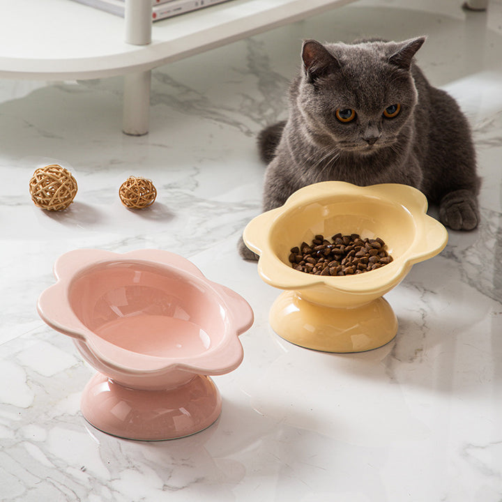 Elevated Ceramic Cat Water and Food Bowl