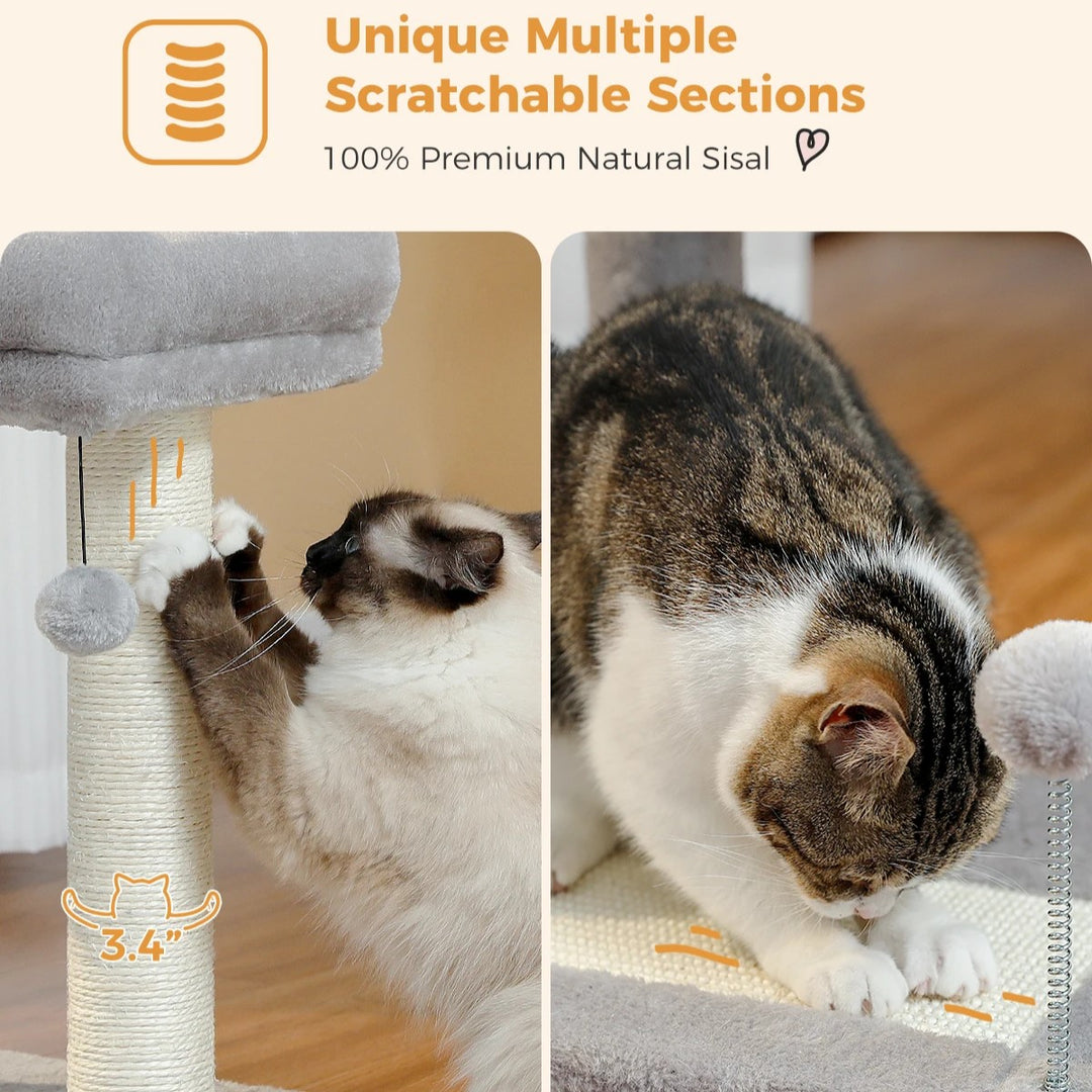 50CM Small Cat Tree with Large Perch, Sisal-Covered Scratching Post, and Self-Grooming Brush