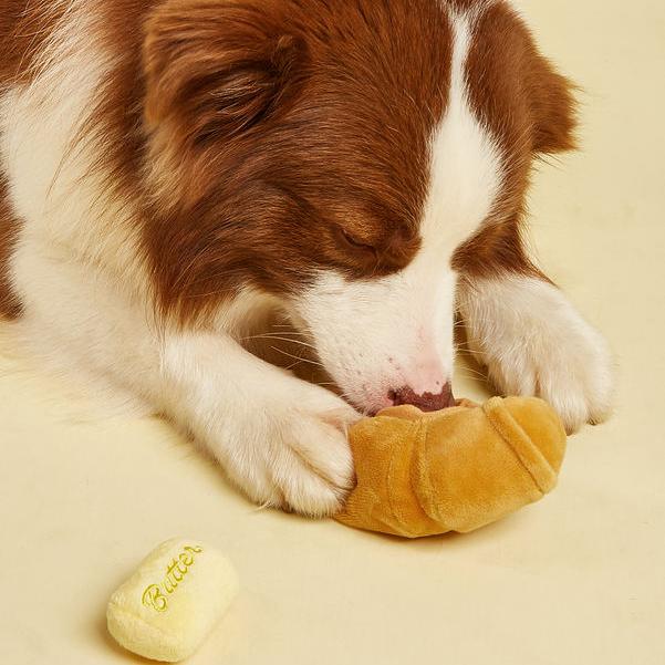 Food-Shaped Squeaky Dog Toy