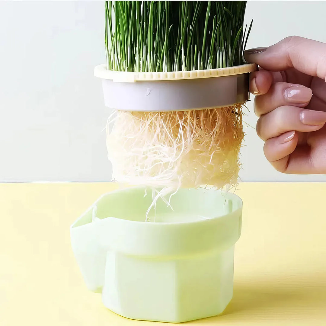 Hierarchical Cat Grass Cultivation Cup: Grow Fresh Catnip Easily