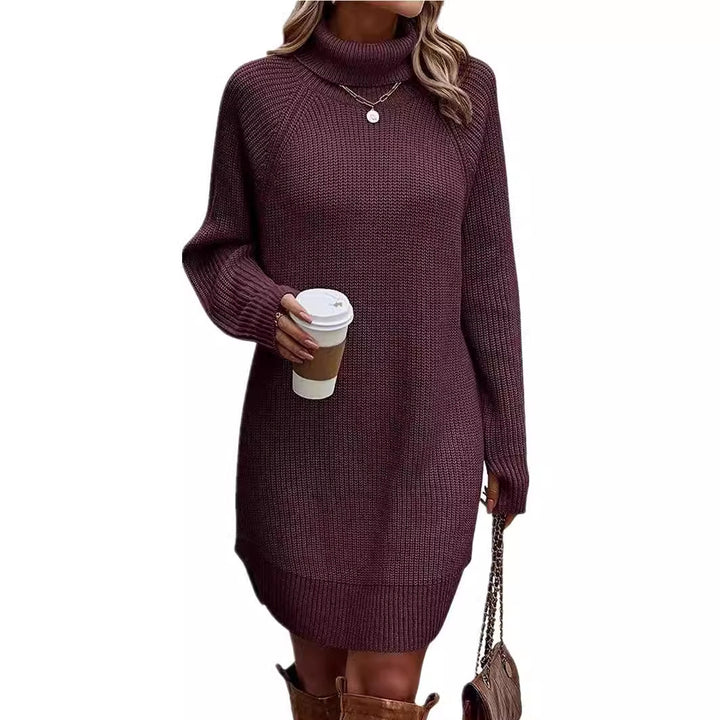 Fashion Slit Pullover High-neck Dress Lady