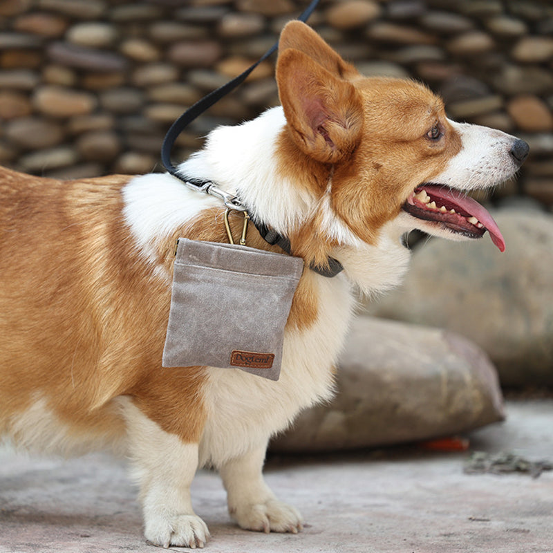 Portable Dog Training Snack Bag