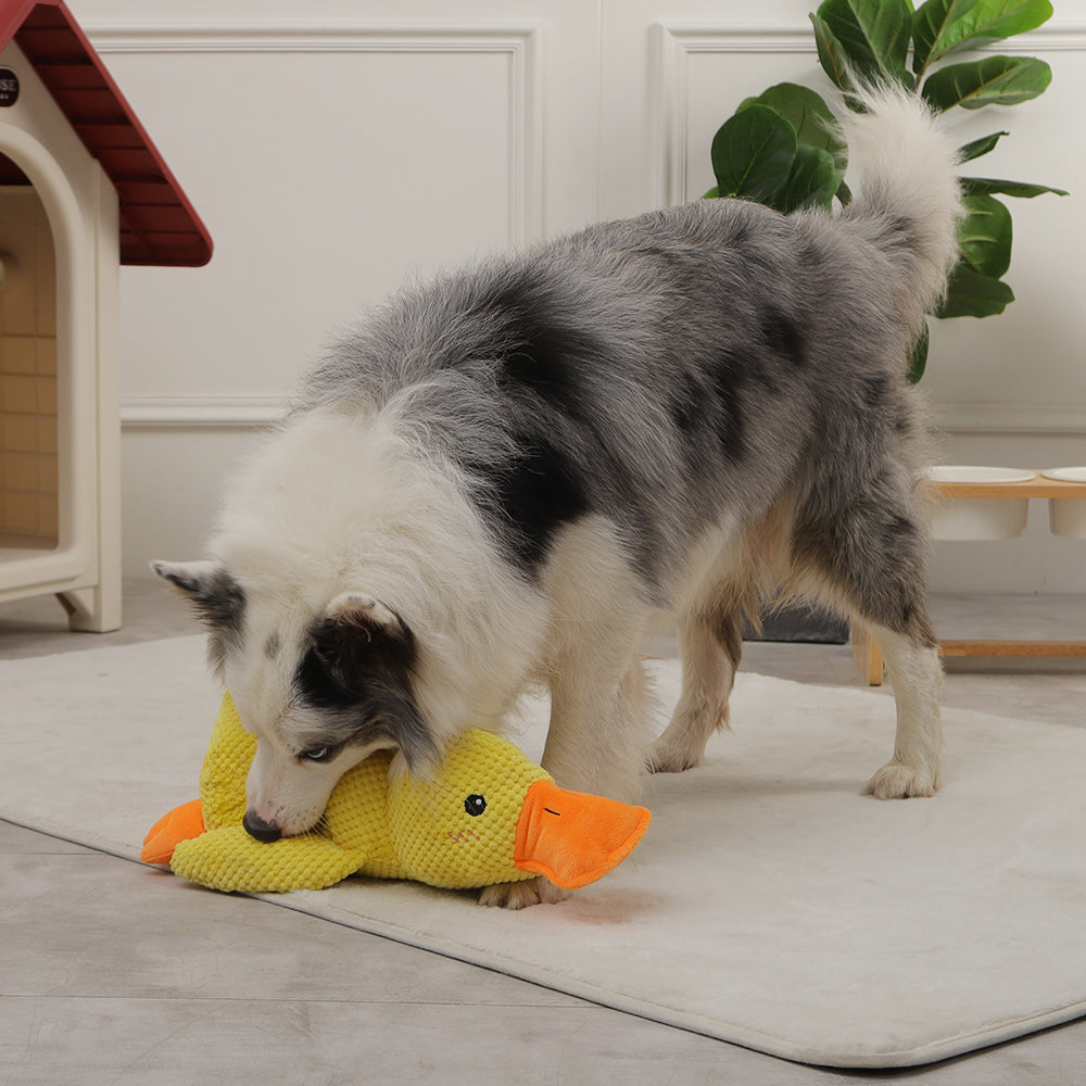 Interactive Duck Dog Toy with Squeaker